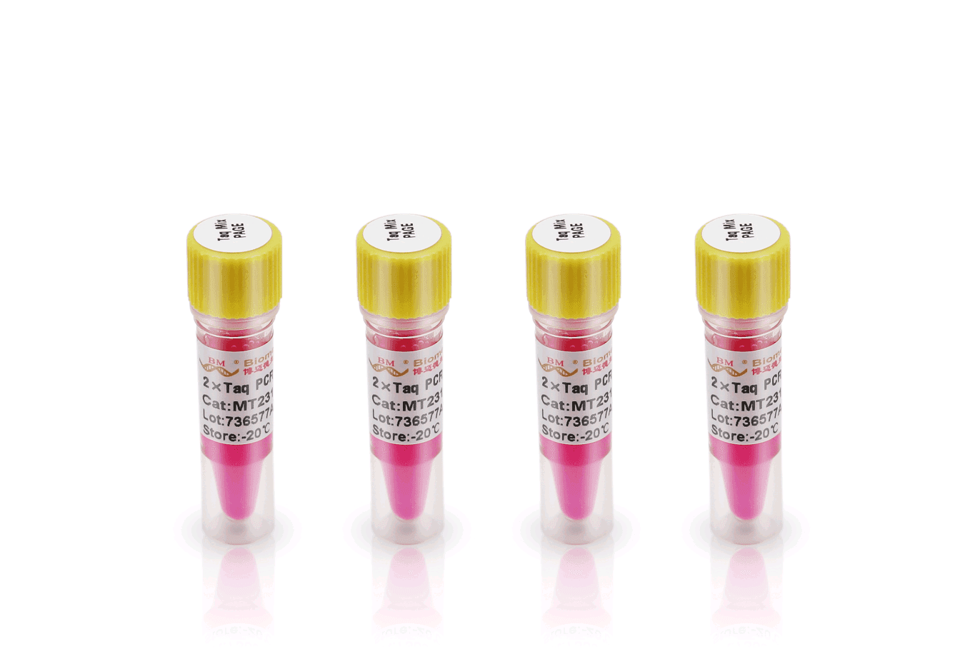 2×Taq PCR MasterMix ( for PAGE )