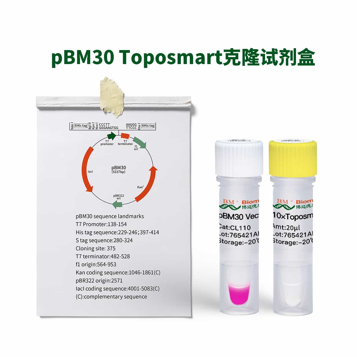 pBM30 Toposmart Cloning Kit克隆试剂盒