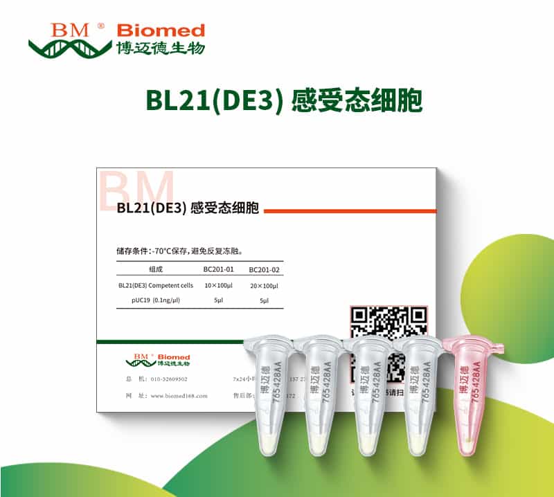 BL21(DE3) 感受态细胞