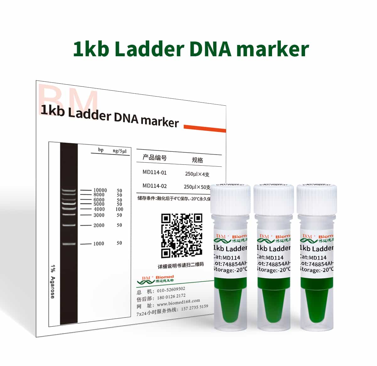 1kb Ladder DNA Marker