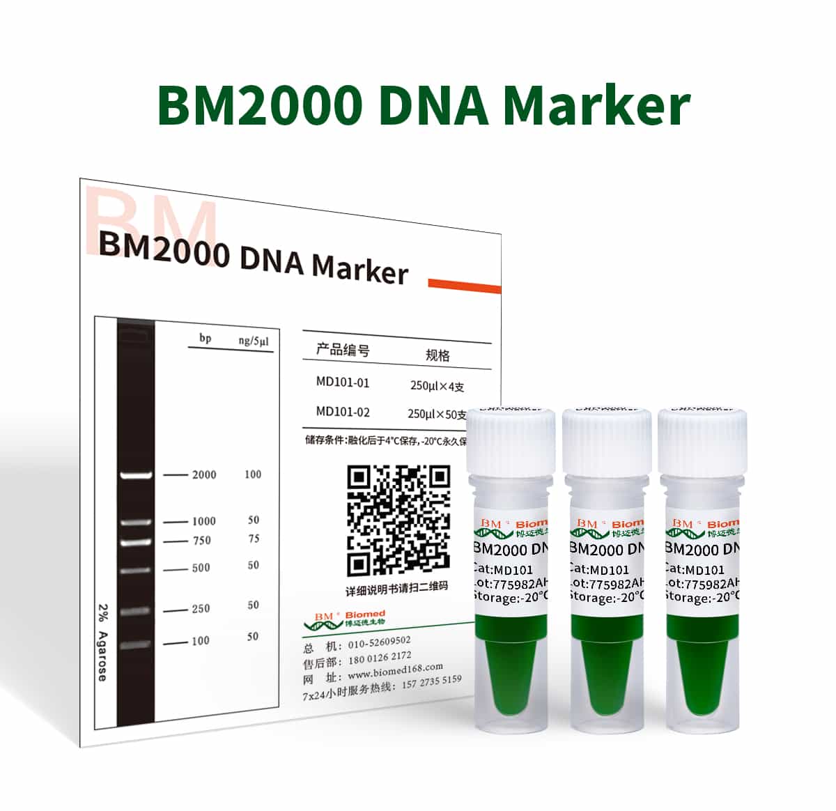 BM2000 DNA Marker