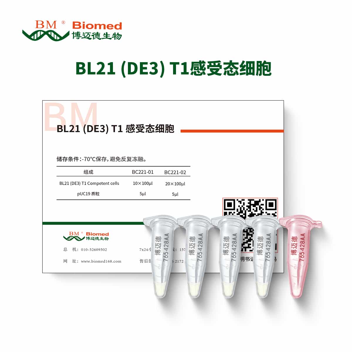 BL21 (DE3) T1感受态细胞