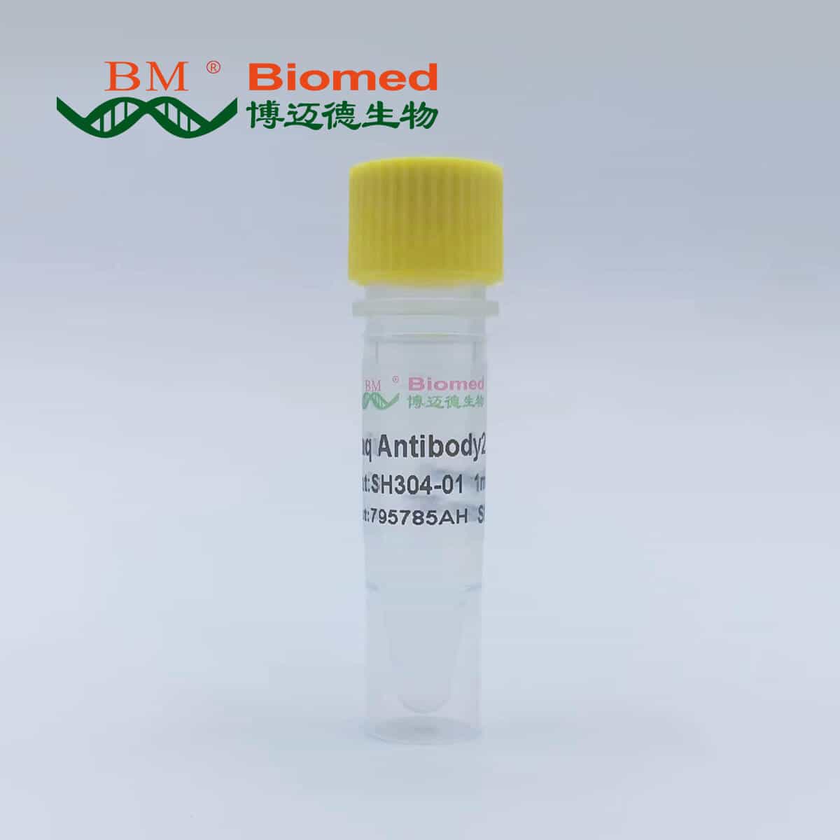 Taq Antibody-2