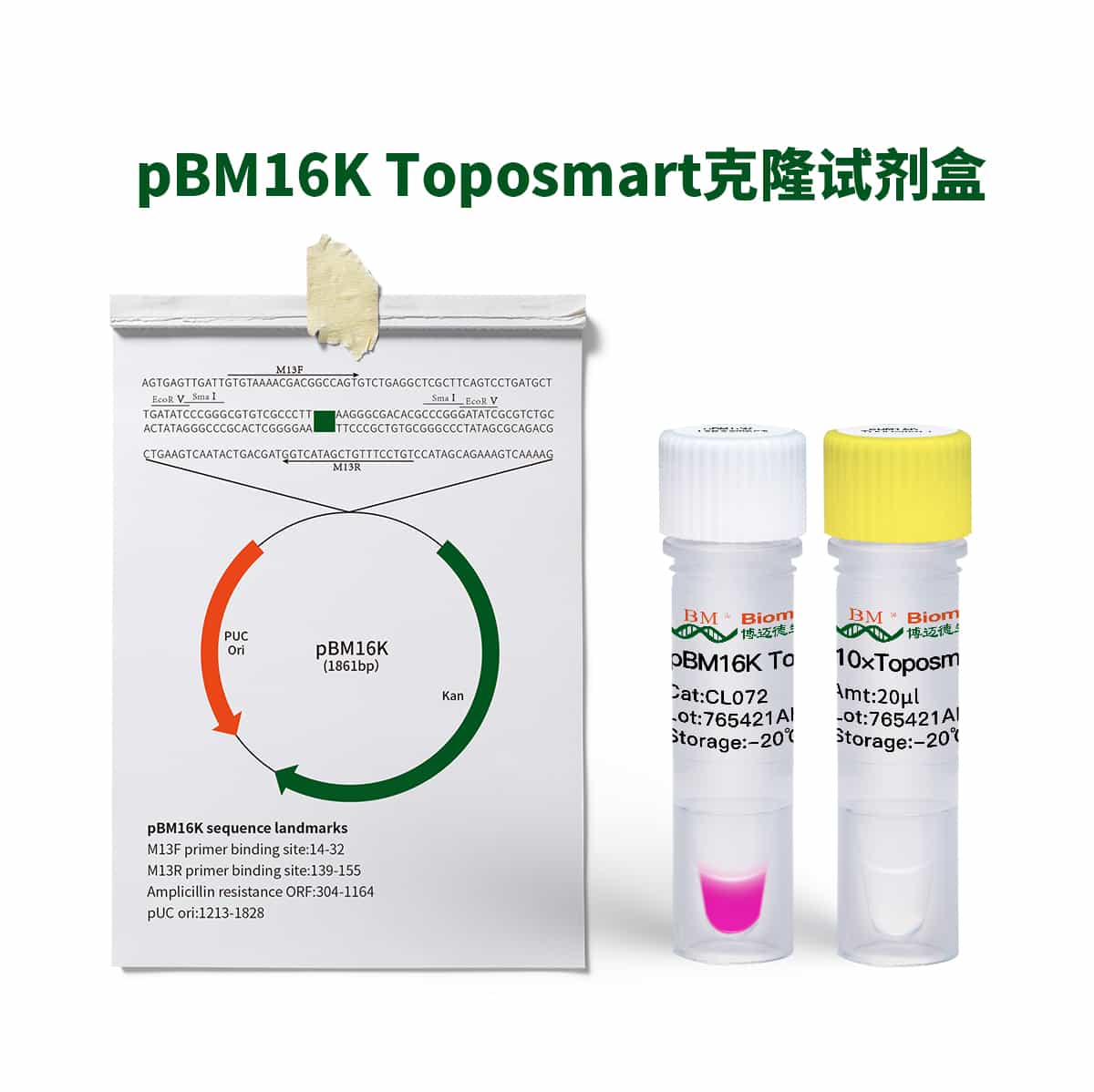 pBM16K Toposmart Cloning Kit克隆试剂盒