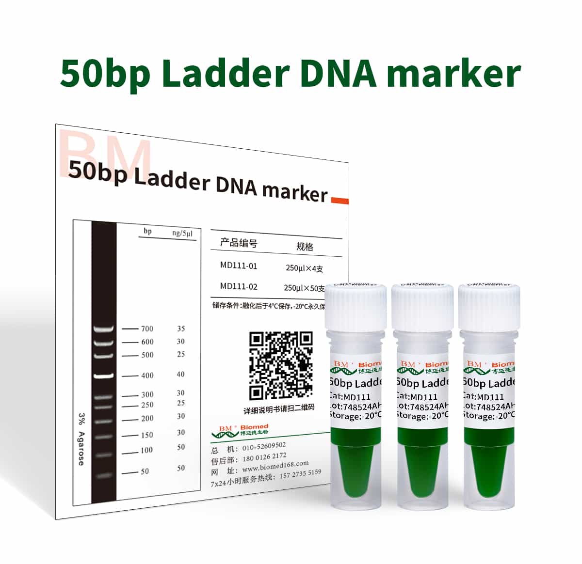 50bp Ladder DNA Marker