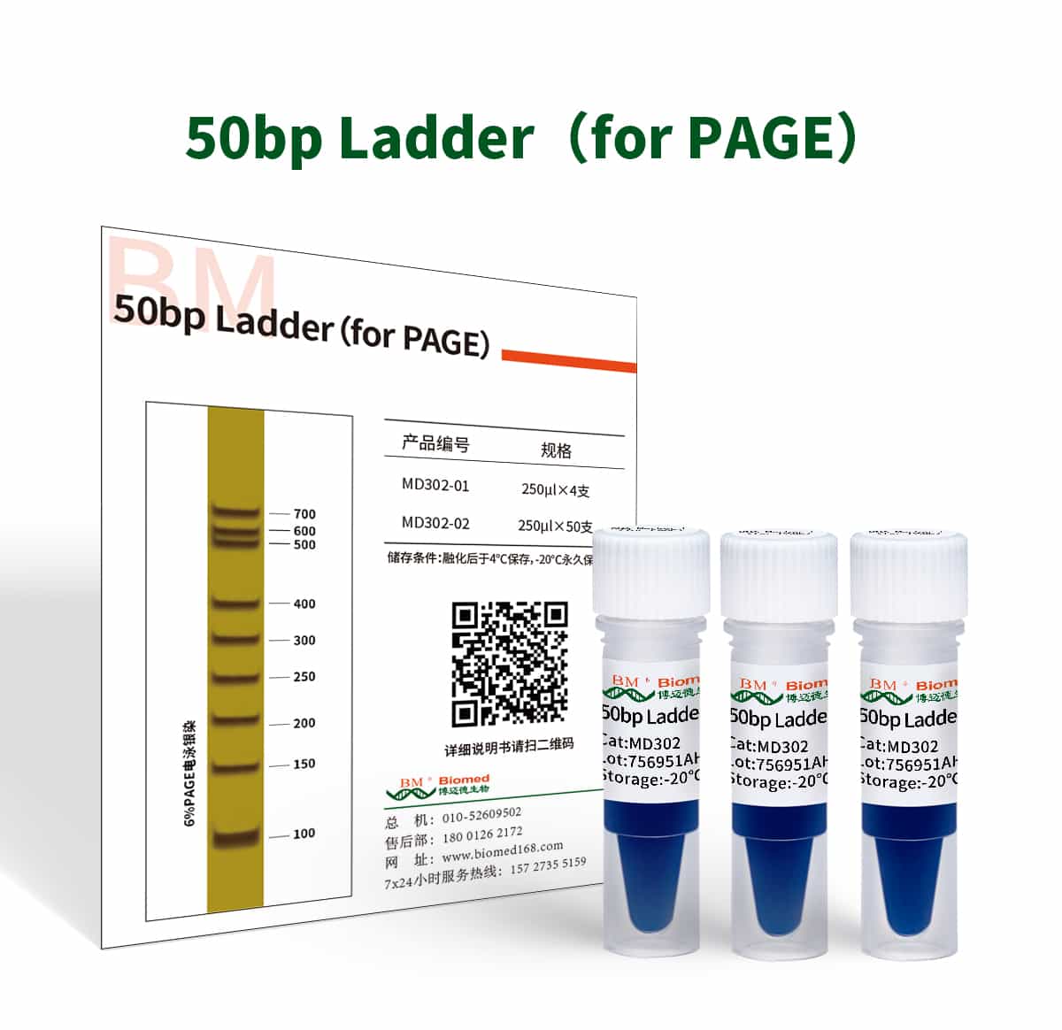 50bp Ladder（for PAGE）