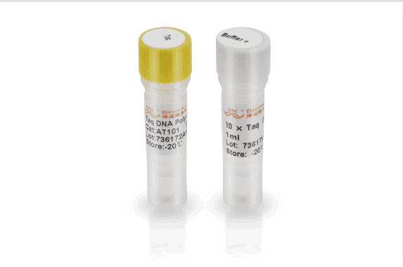 Taq DNA Polymerase