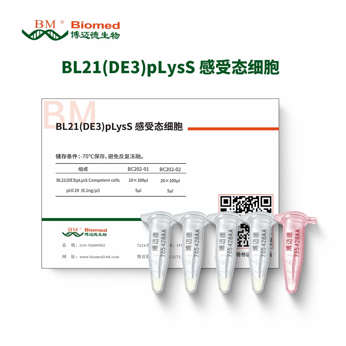 BL21(DE3)plysS 感受态细胞