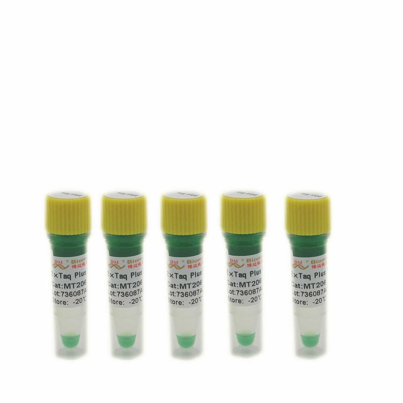 M-MLV4 Green One-Step qRT-PCR Kit