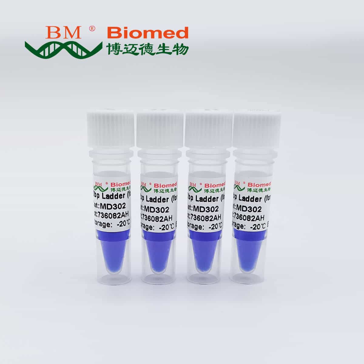 Prestained BM5000 DNA Marker