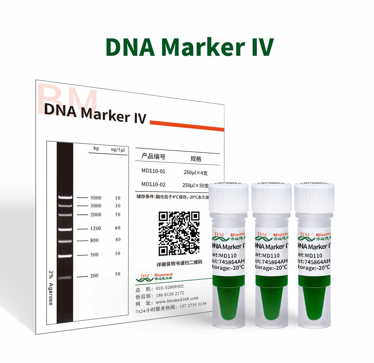 DNA Marker Ⅳ