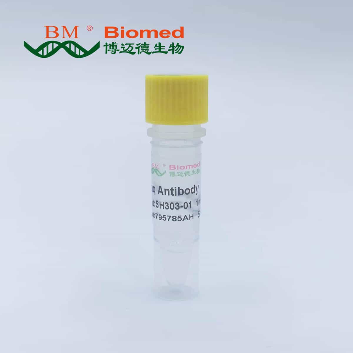 Taq Antibody