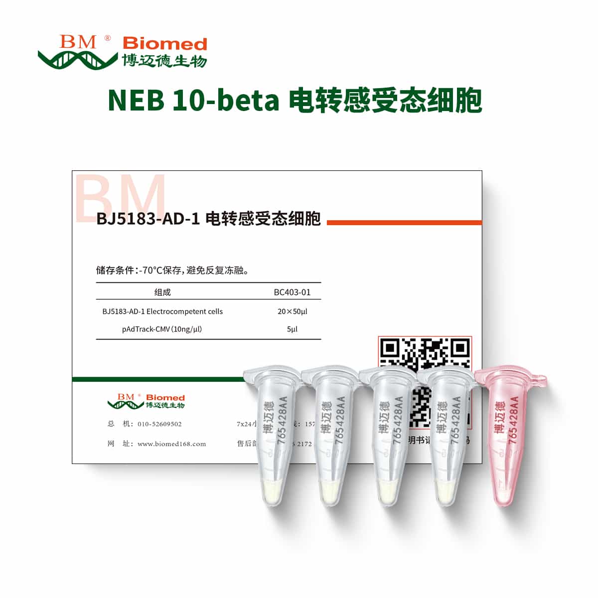 NEB 10-beta 电转感受态细胞