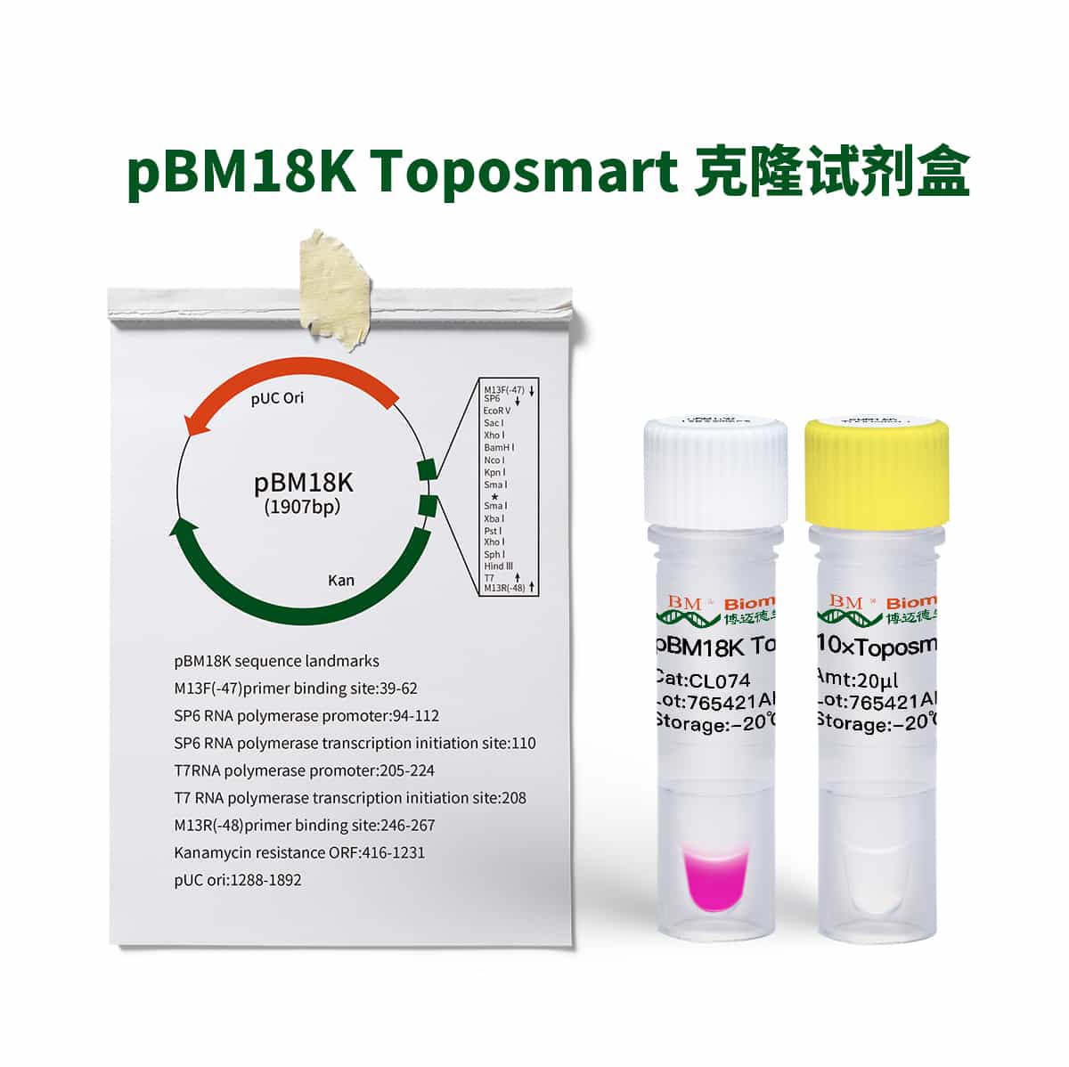 pBM18K Toposmart Cloning Kit克隆试剂盒