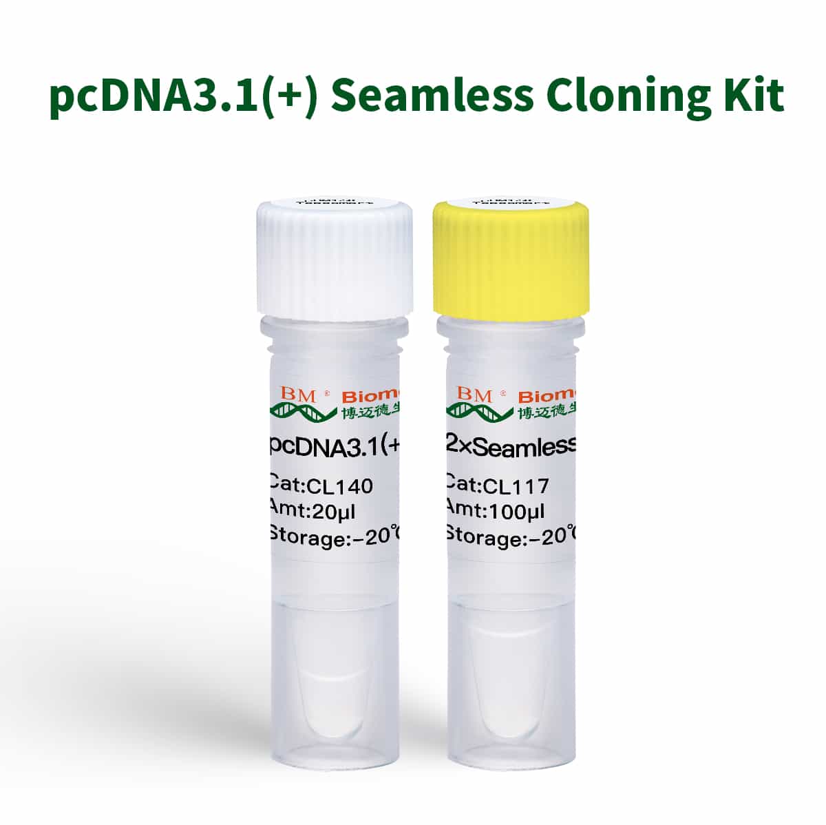 pcDNA3.1(+) Seamless Cloning Kit