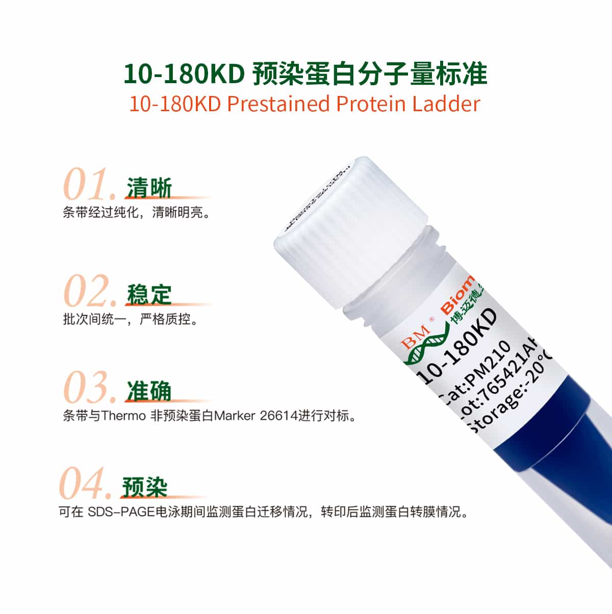 10-180KD 预染蛋白分子量标准