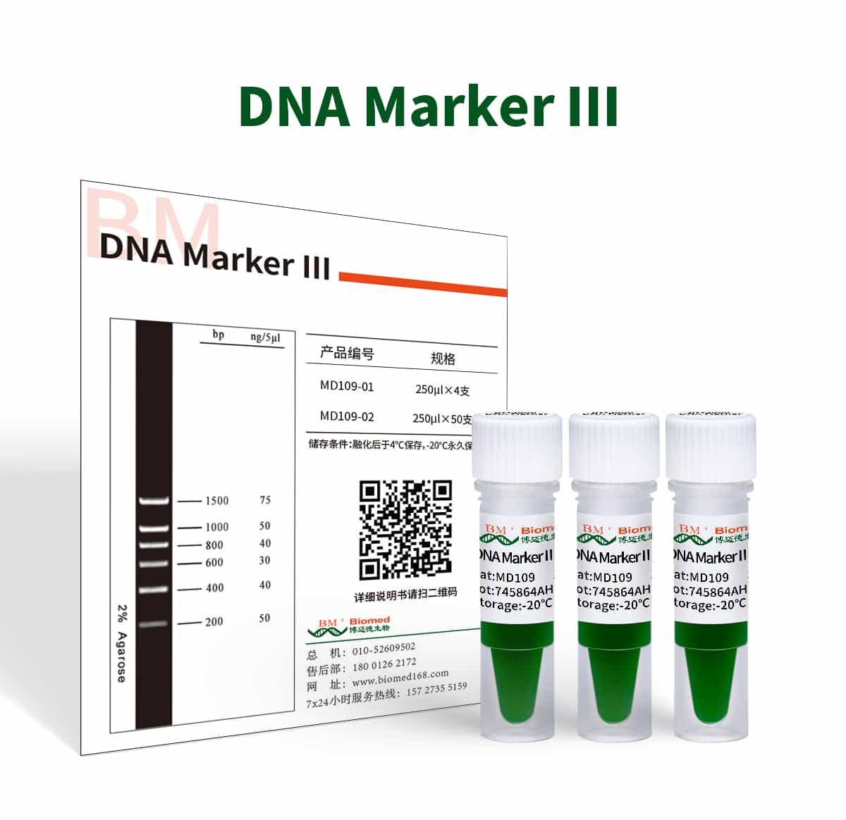 DNA Marker Ⅲ