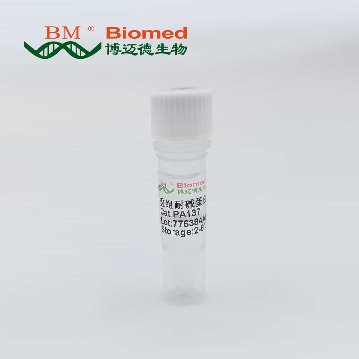 重组耐碱蛋白A (Alkali-tolerant Protein A)