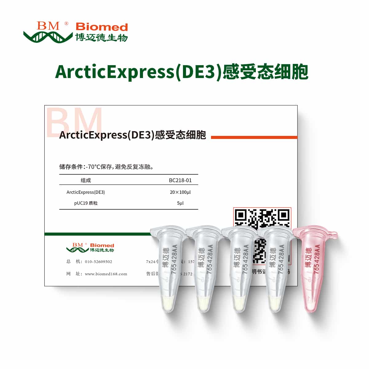 ArcticExpress(DE3)感受态细胞