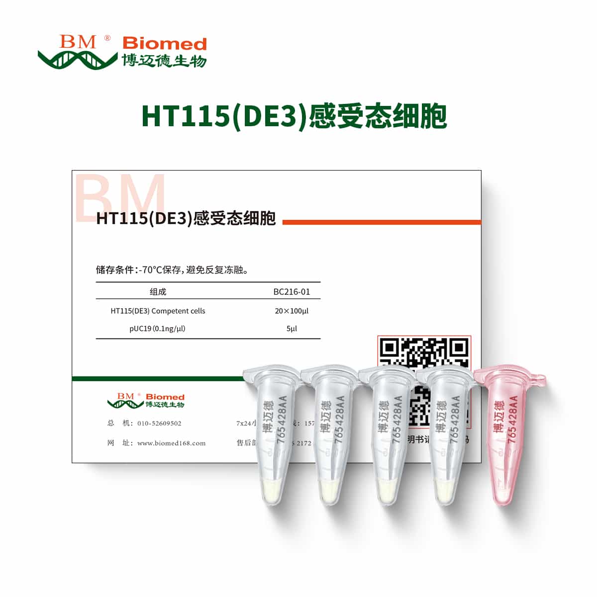 HT115(DE3)感受态细胞