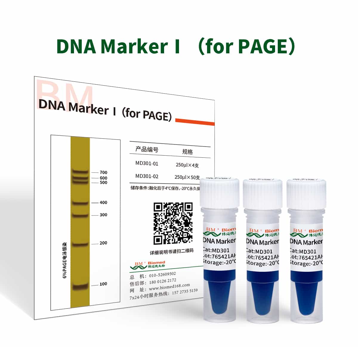 DNA Marker Ⅰ(For Page）