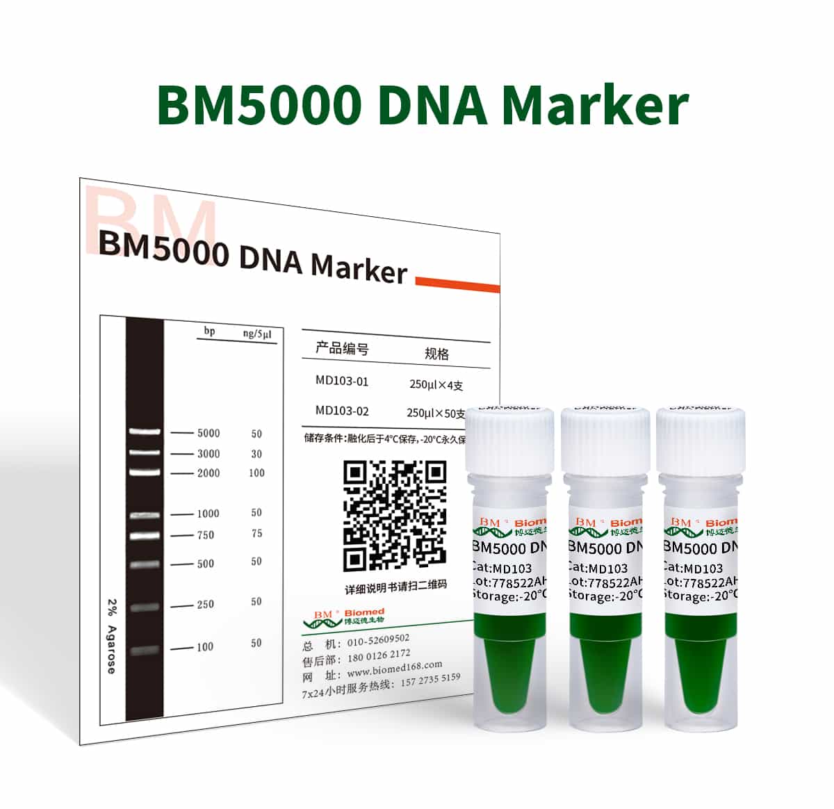 BM5000 DNA Marker