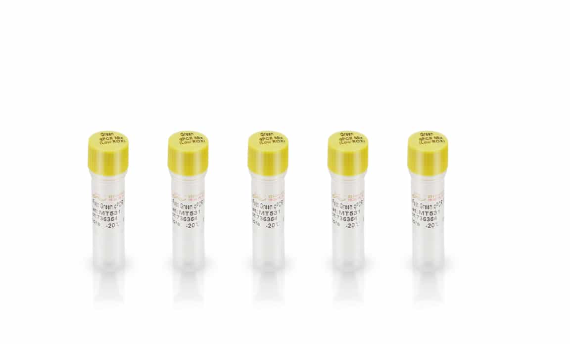 Green qPCR MasterMix（High ROX）