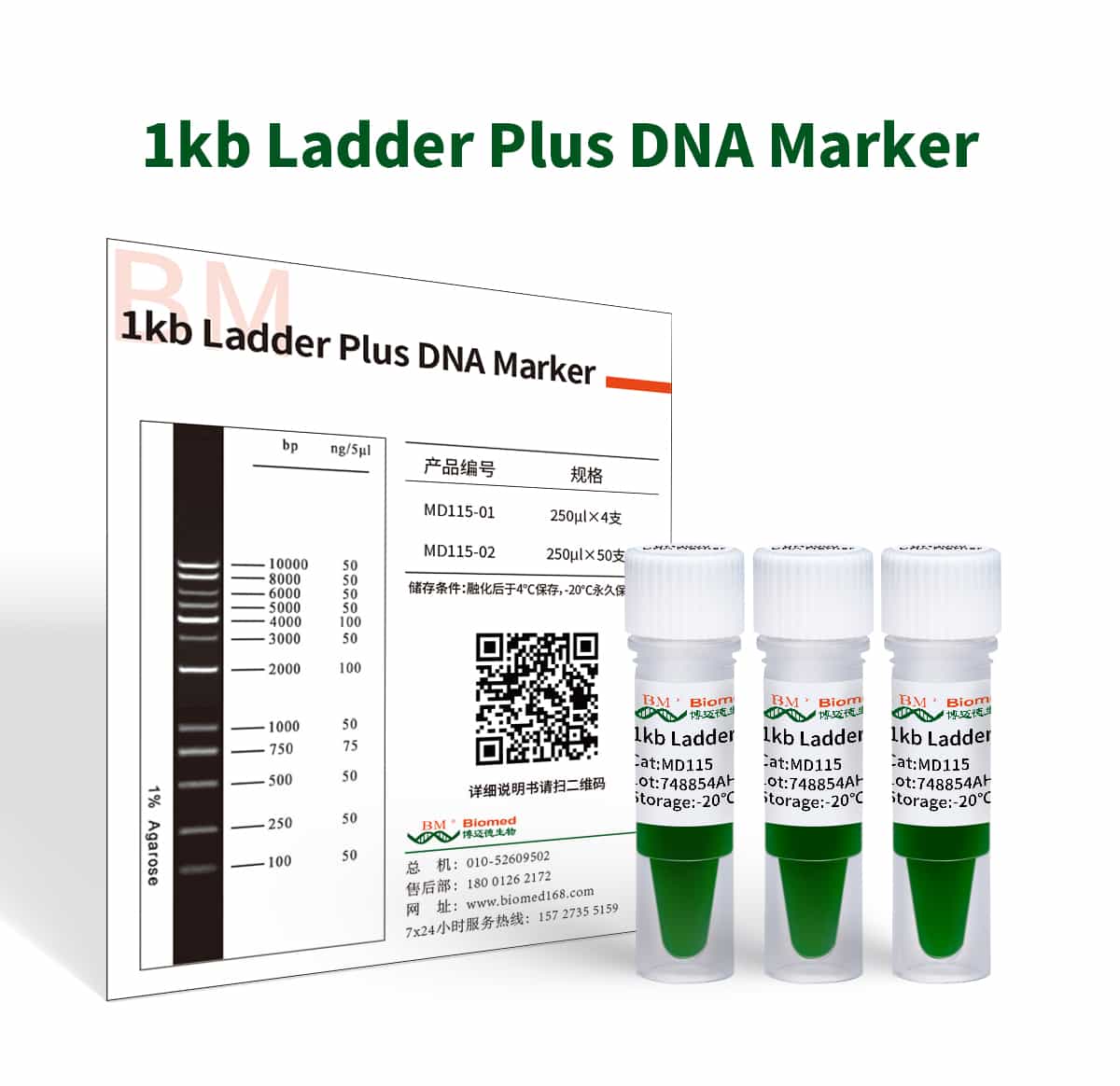 1kb  Ladder Plus DNA Marker