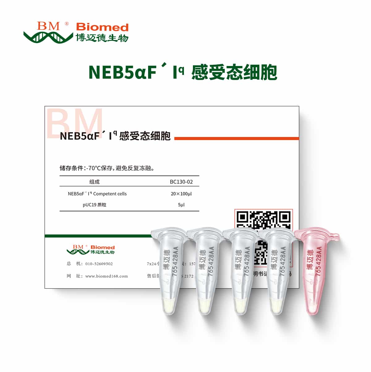 NEB5αF´ Iq  感受态细胞 