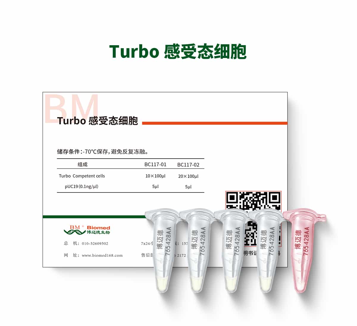 Turbo 感受态细胞