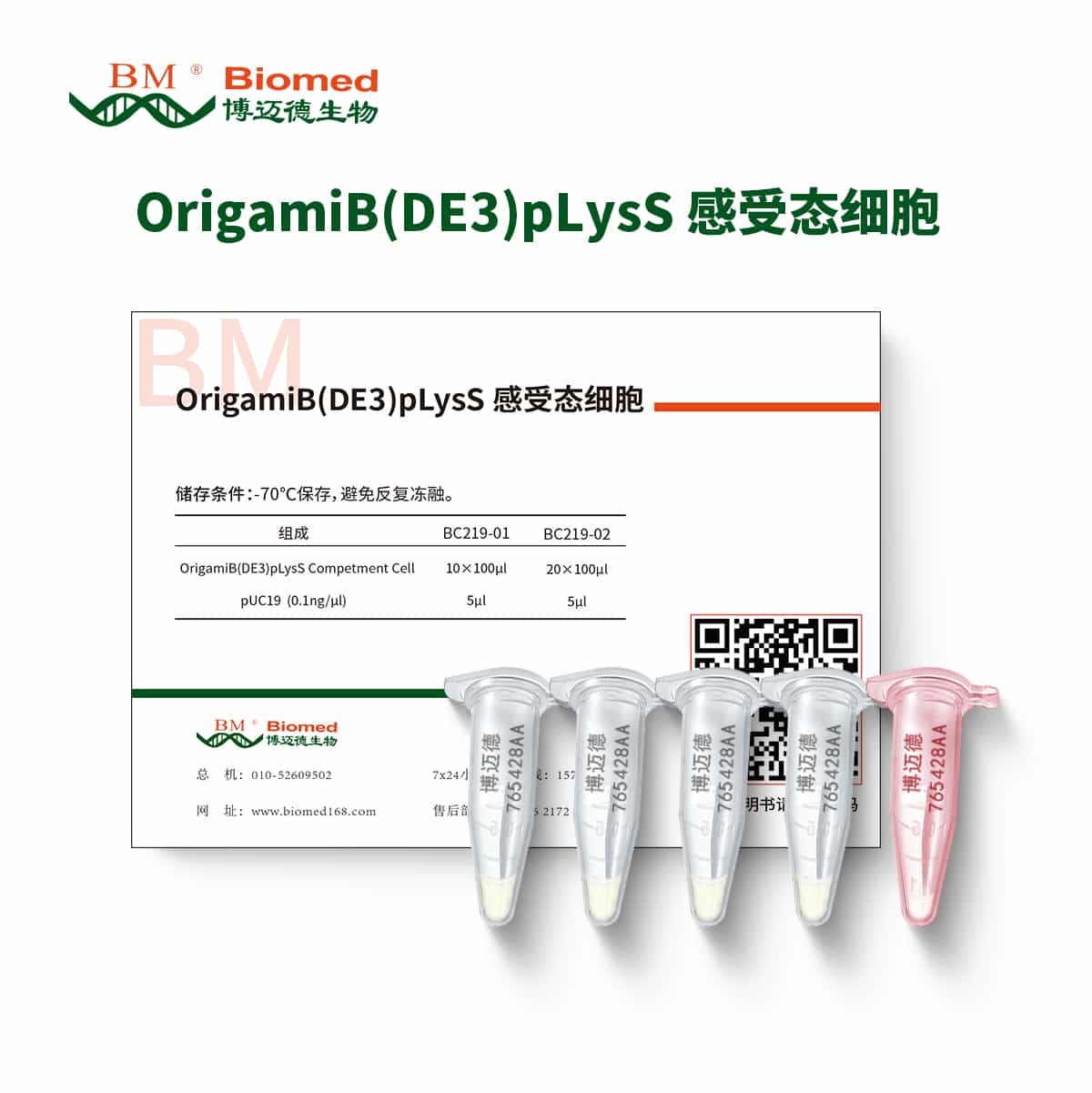 OrigamiB(DE3)plysS 感受态细胞