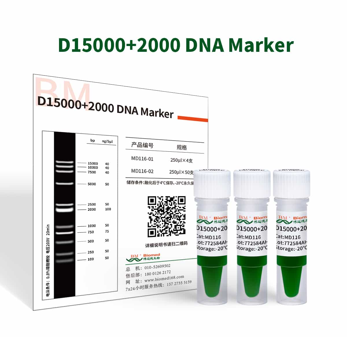 D15000+2000 DNA Marker