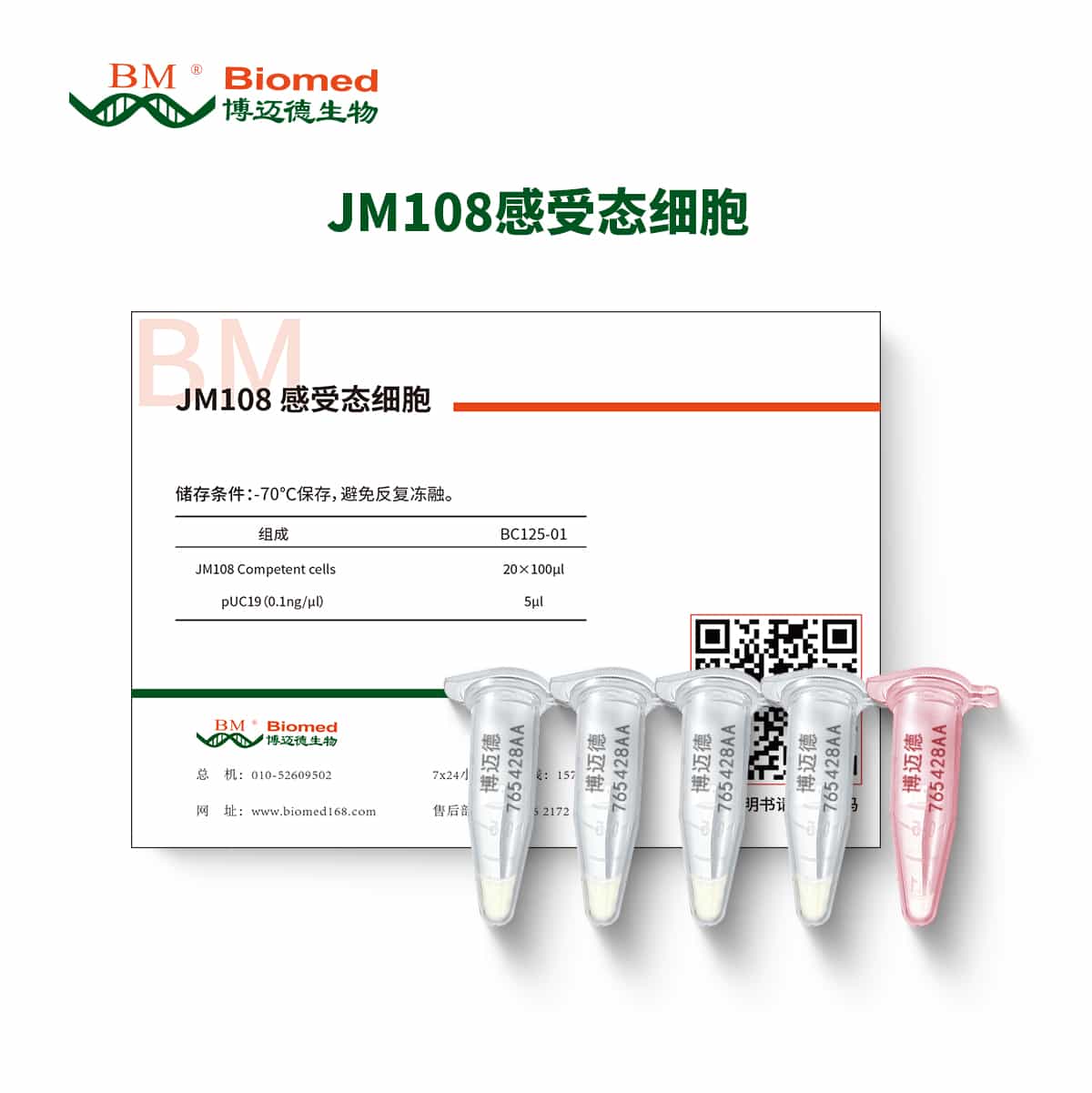 JM108感受态细胞