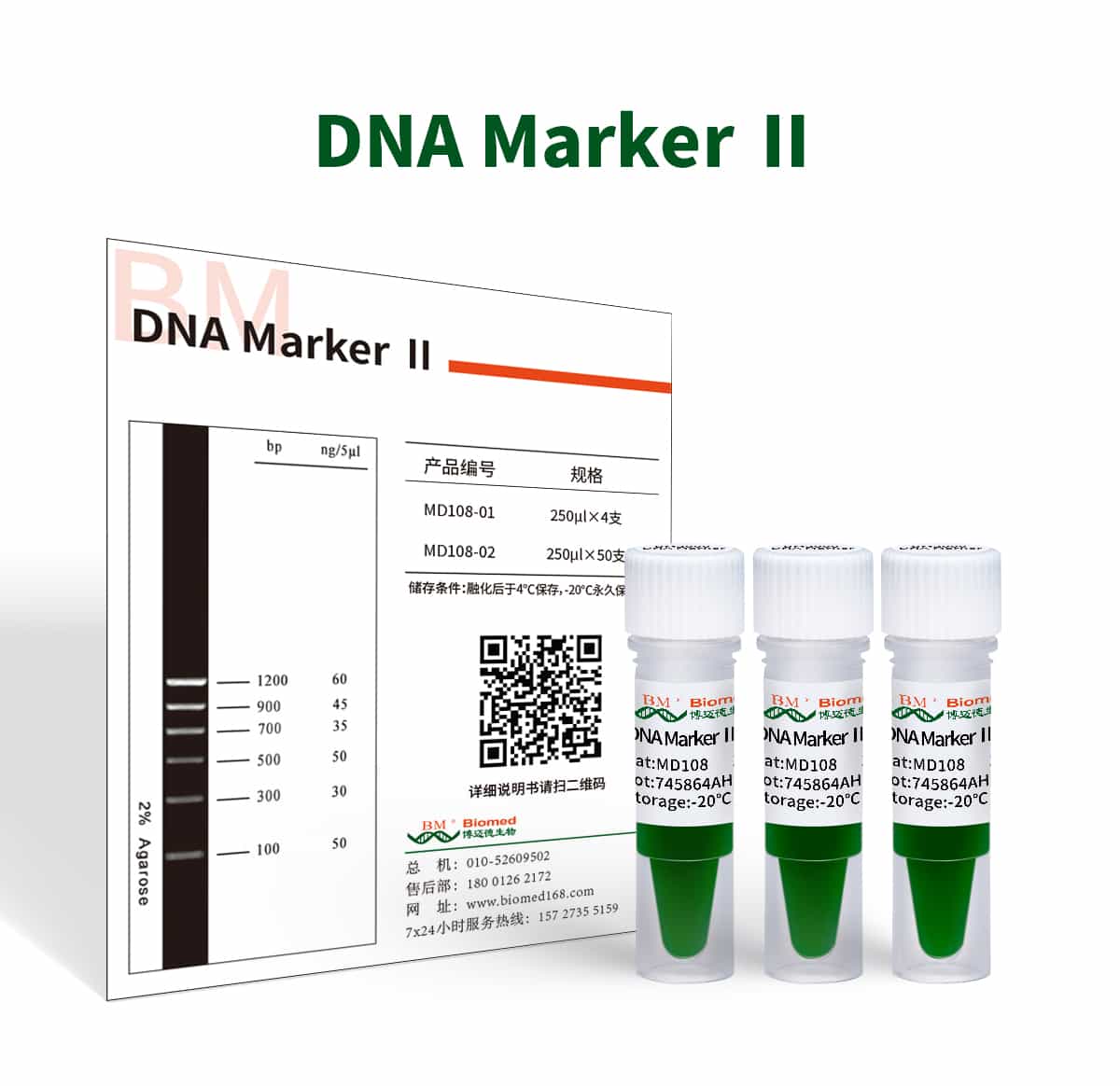 DNA Marker Ⅱ