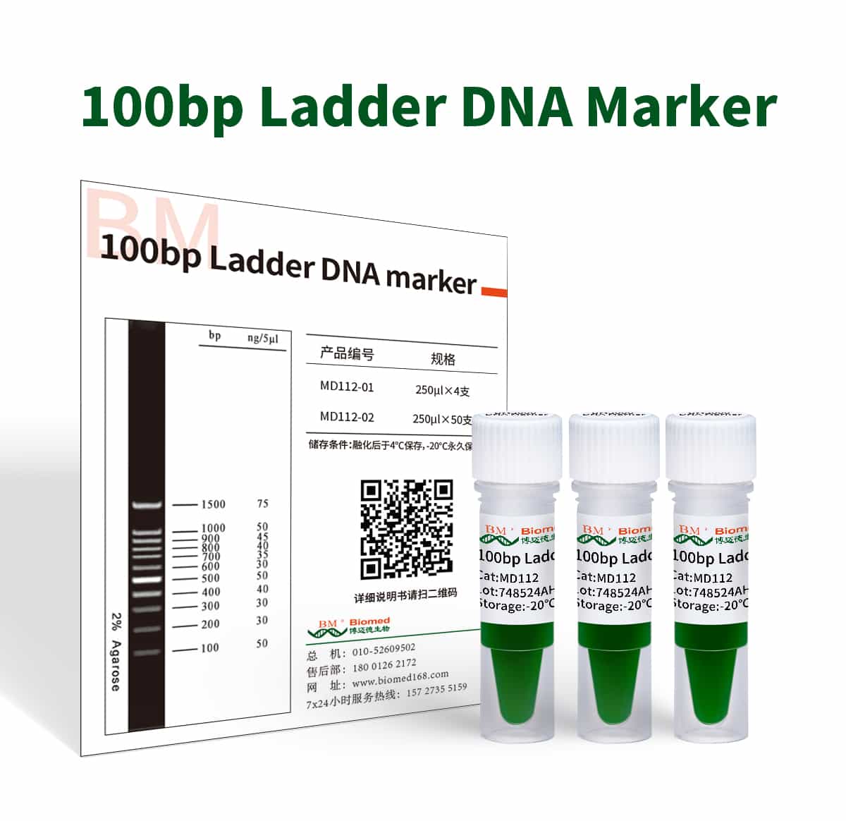 100bp Ladder DNA Marker