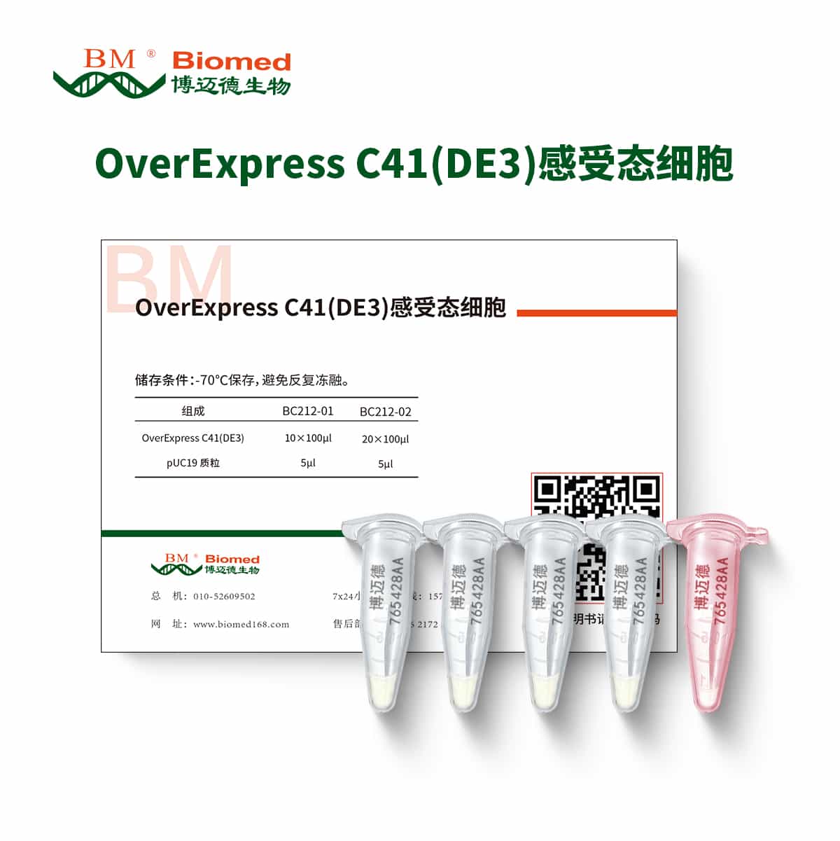 OverExpress C41(DE3)感受态细胞