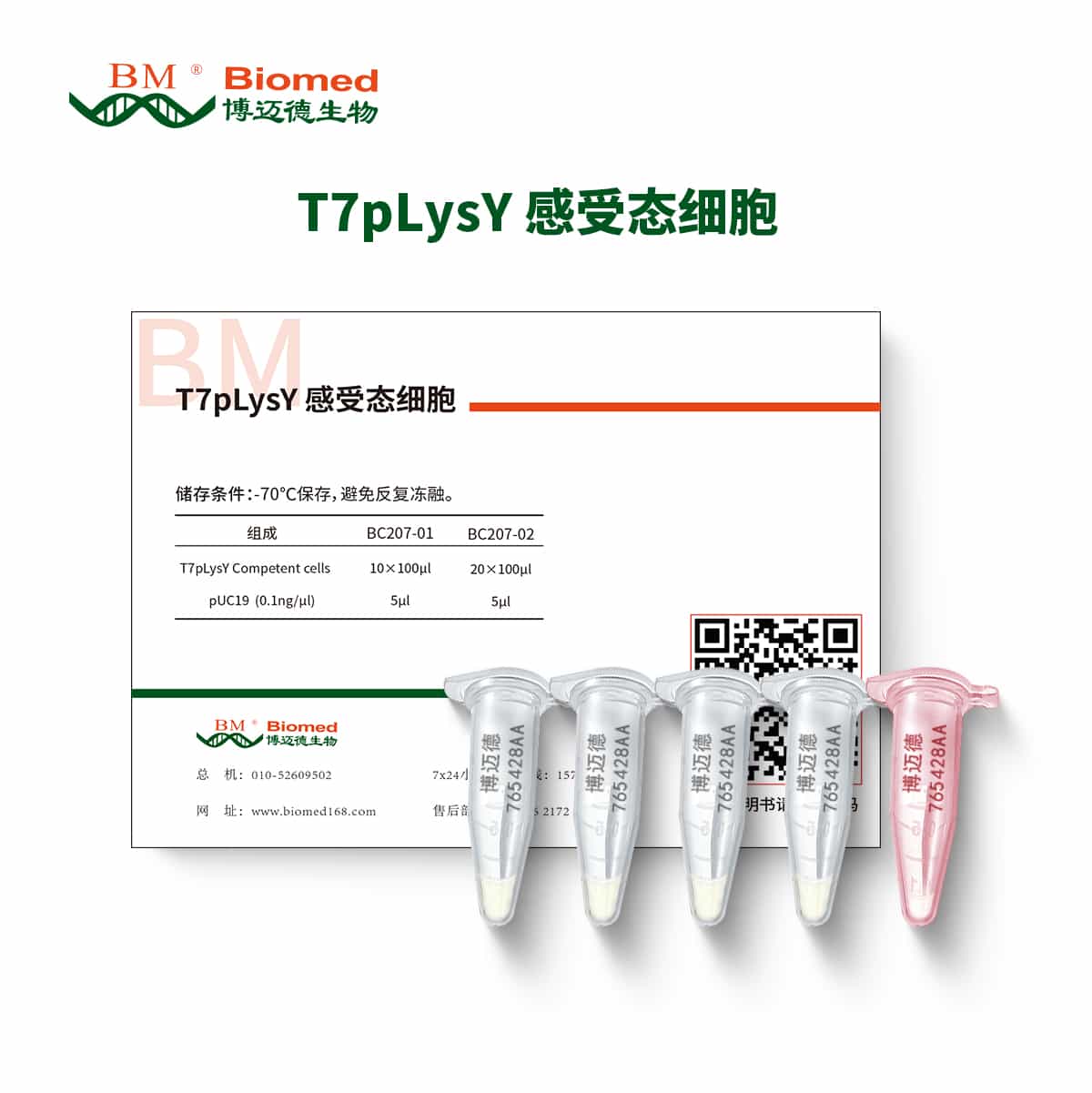 T7pLysY感受态细胞