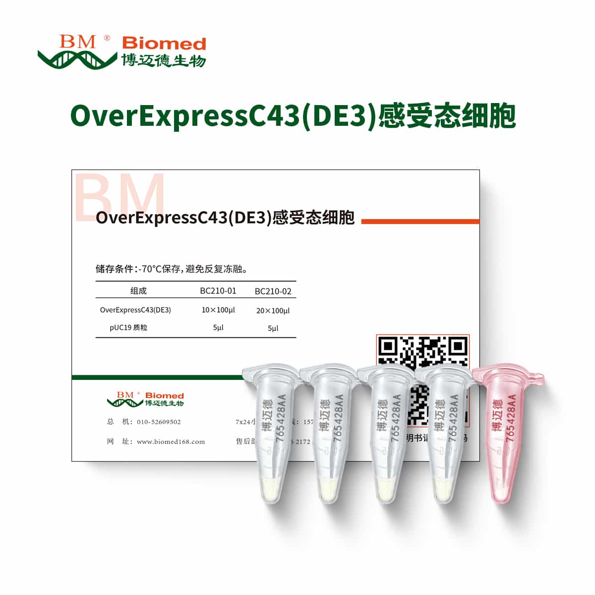 OverExpressC43(DE3)感受态细胞