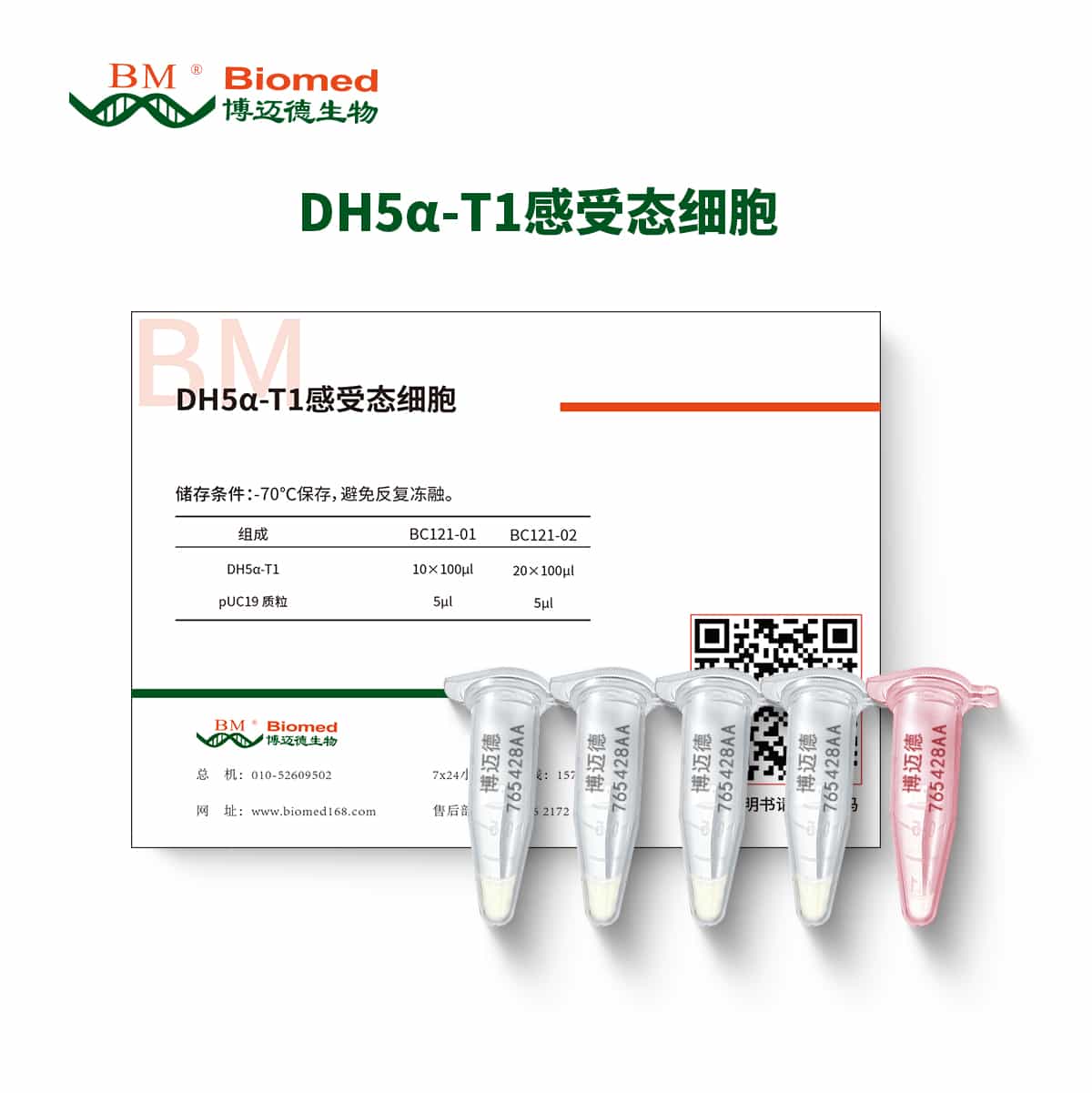 DH5α-T1感受态细胞