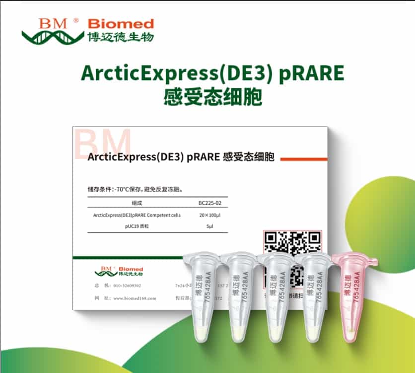 ArcticExpress(DE3) pRARE感受态细胞