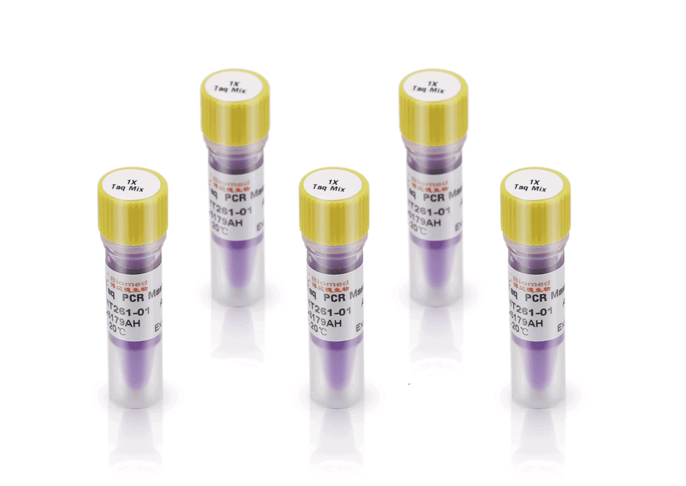 1×Taq PCR MasterMix(purple)