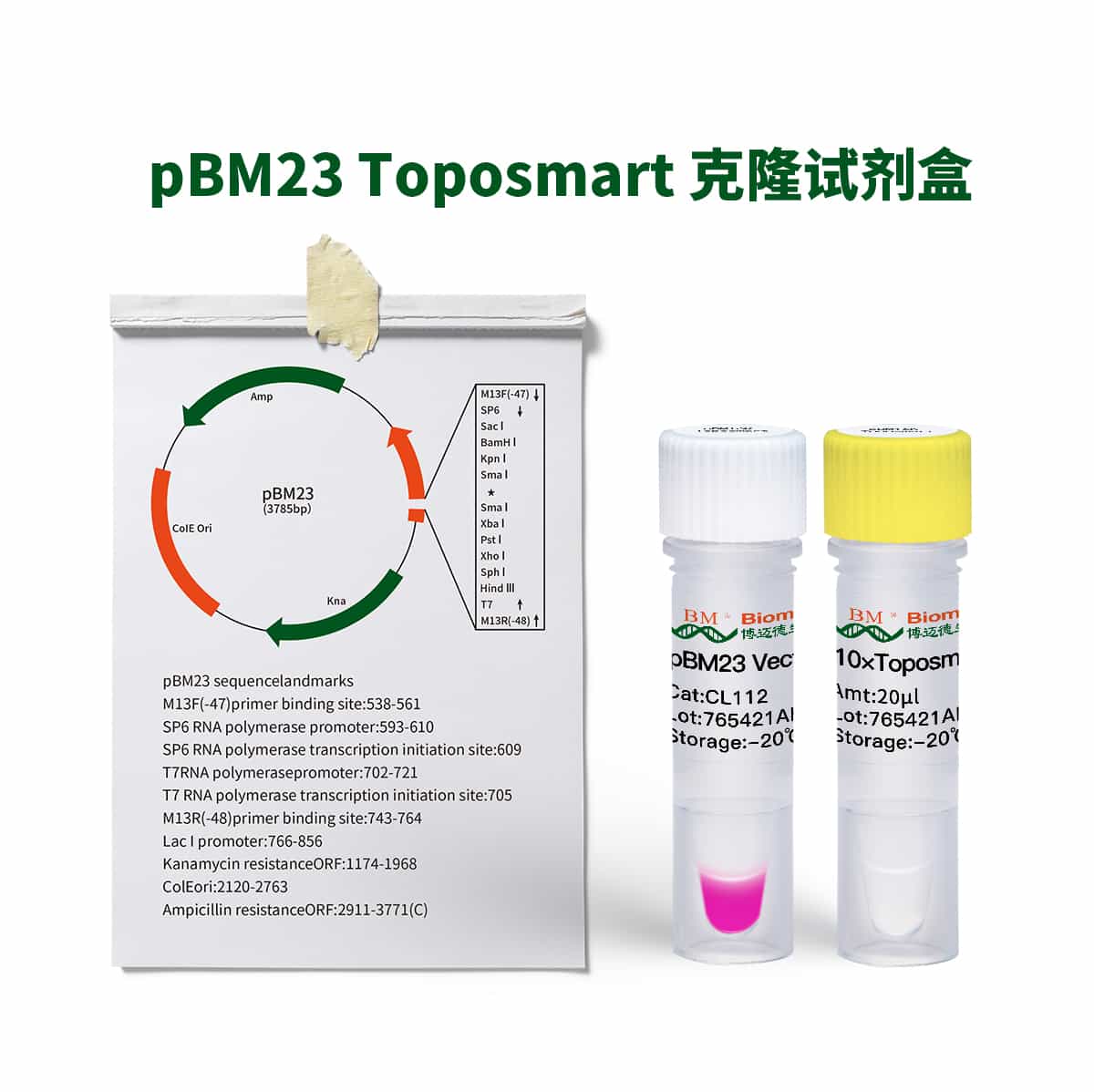 pBM23 Toposmart Cloning Kit克隆试剂盒