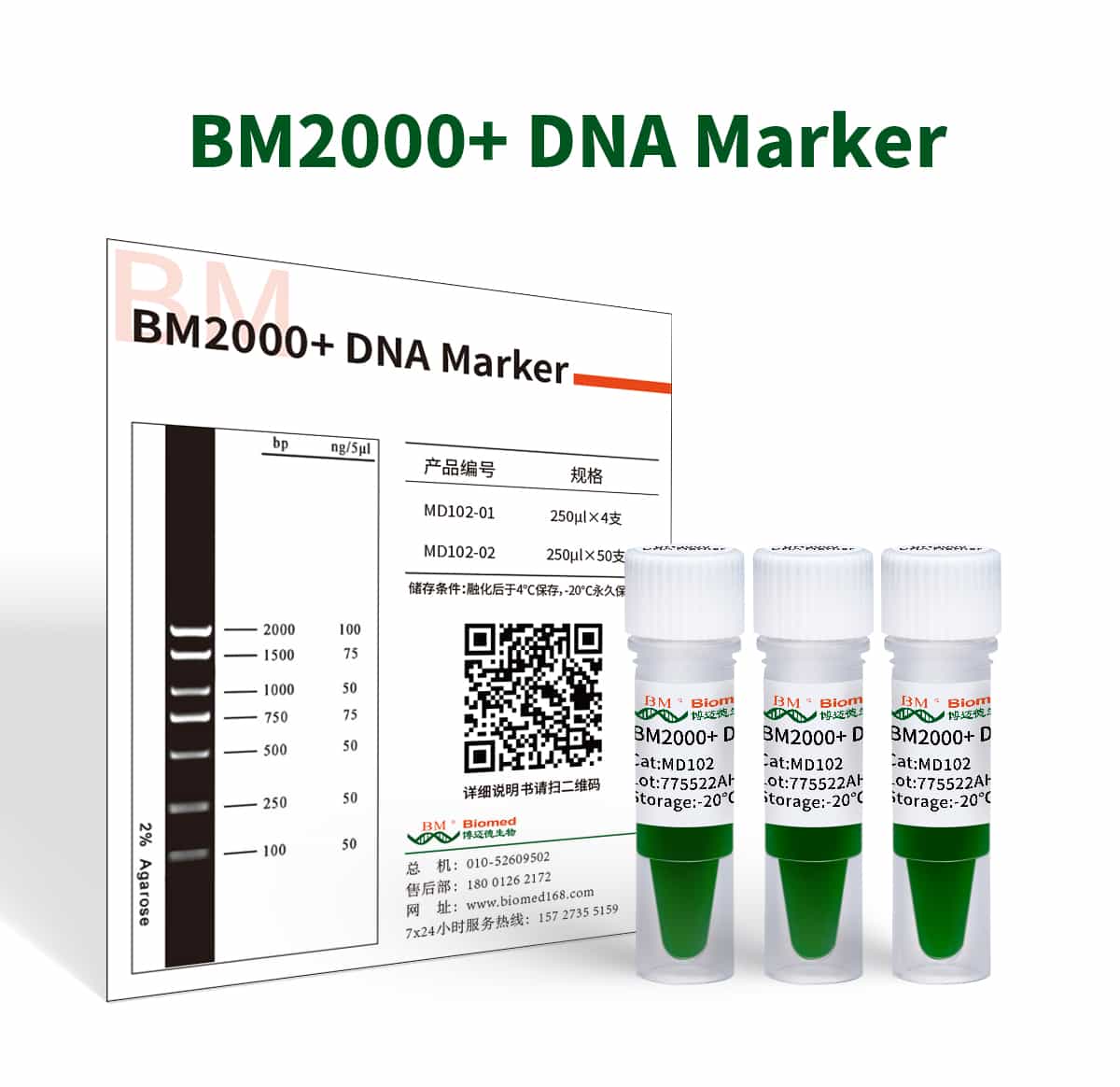 BM2000+ DNA Marker