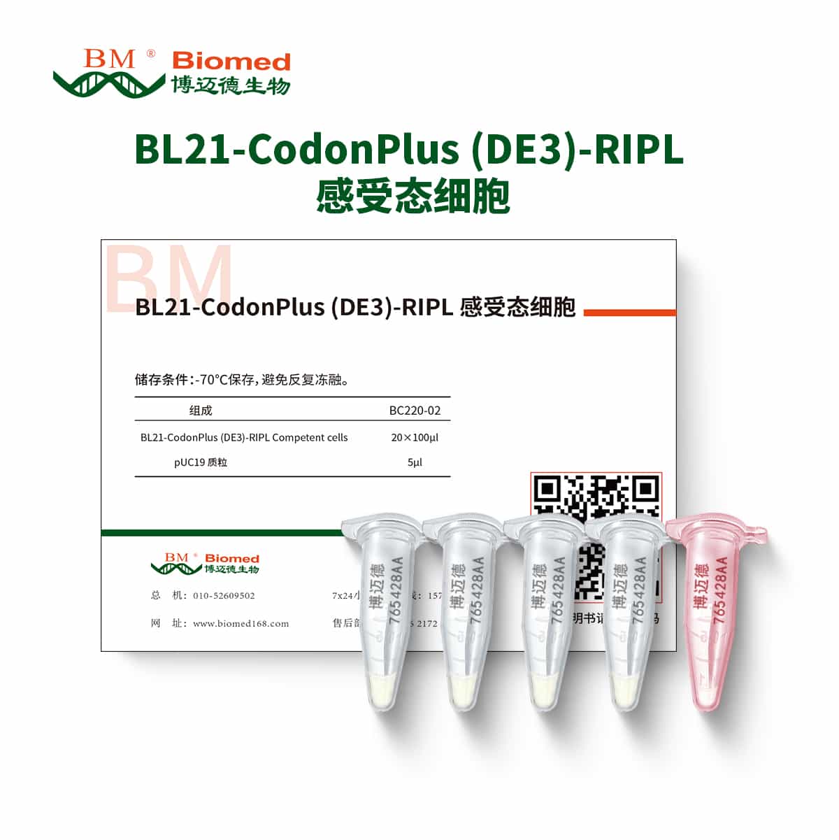 BL21-CodonPlus (DE3)-RIPL 感受态细胞