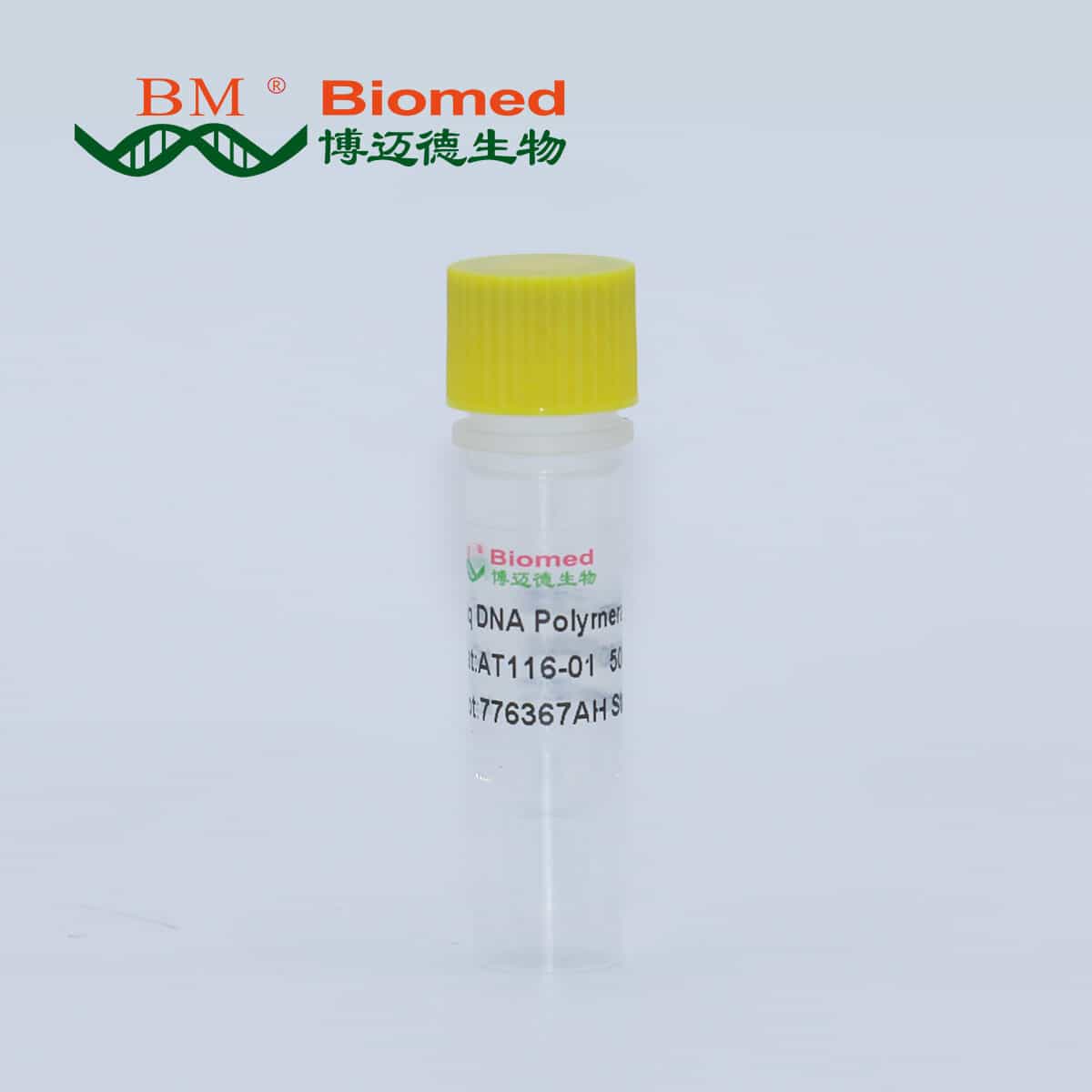 Taq DNA Polymerase（无甘油）