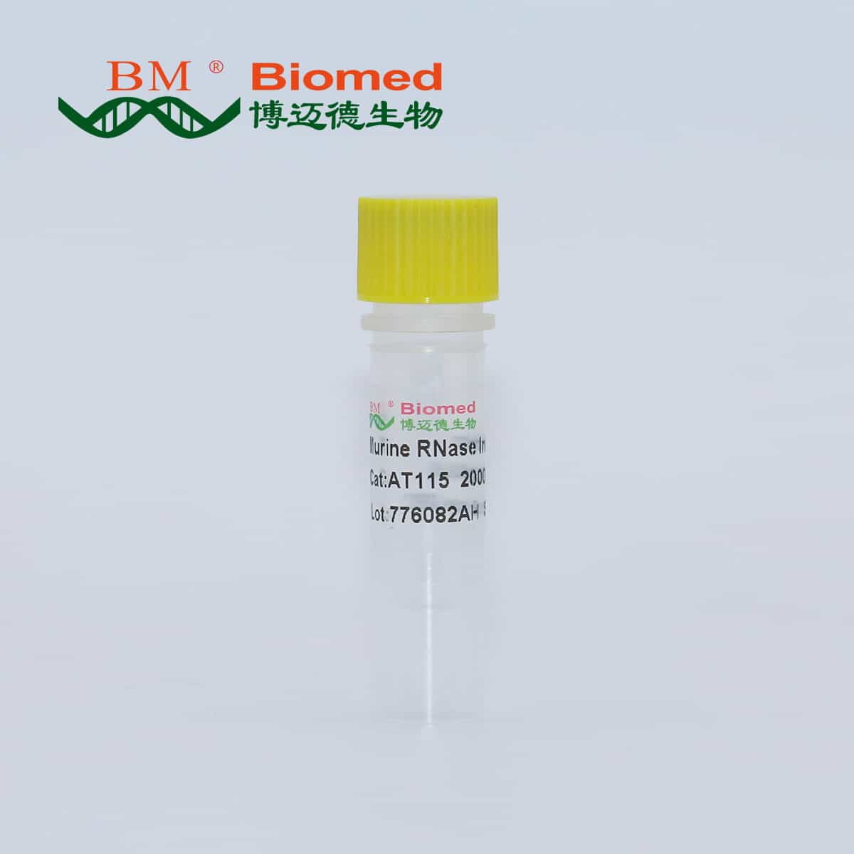 Murine RNase Inhibitor