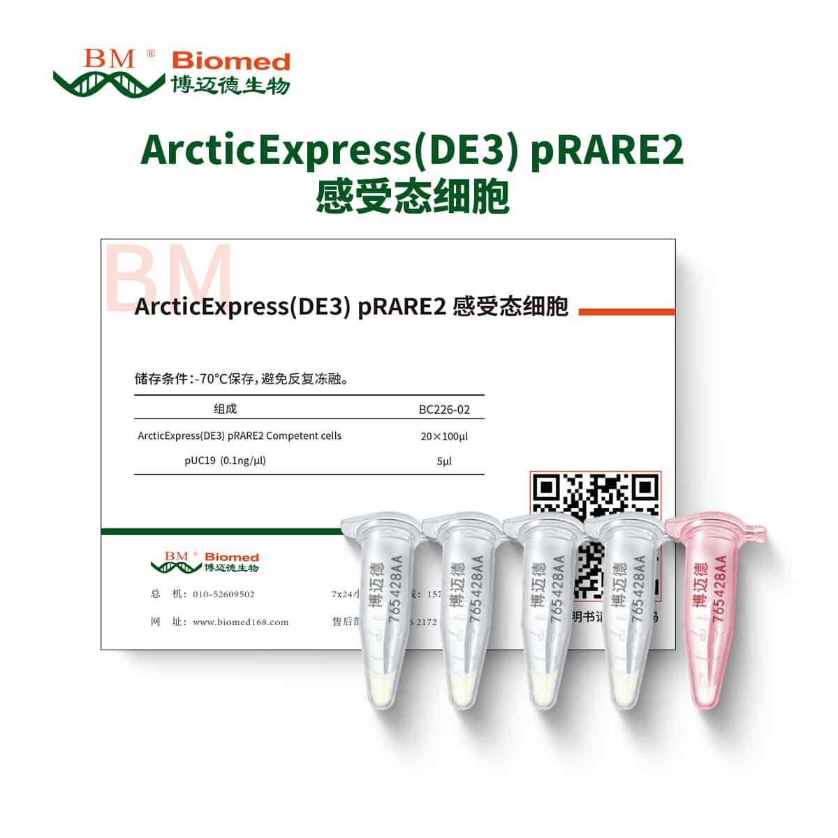 ArcticExpress(DE3) pRARE2感受态细胞