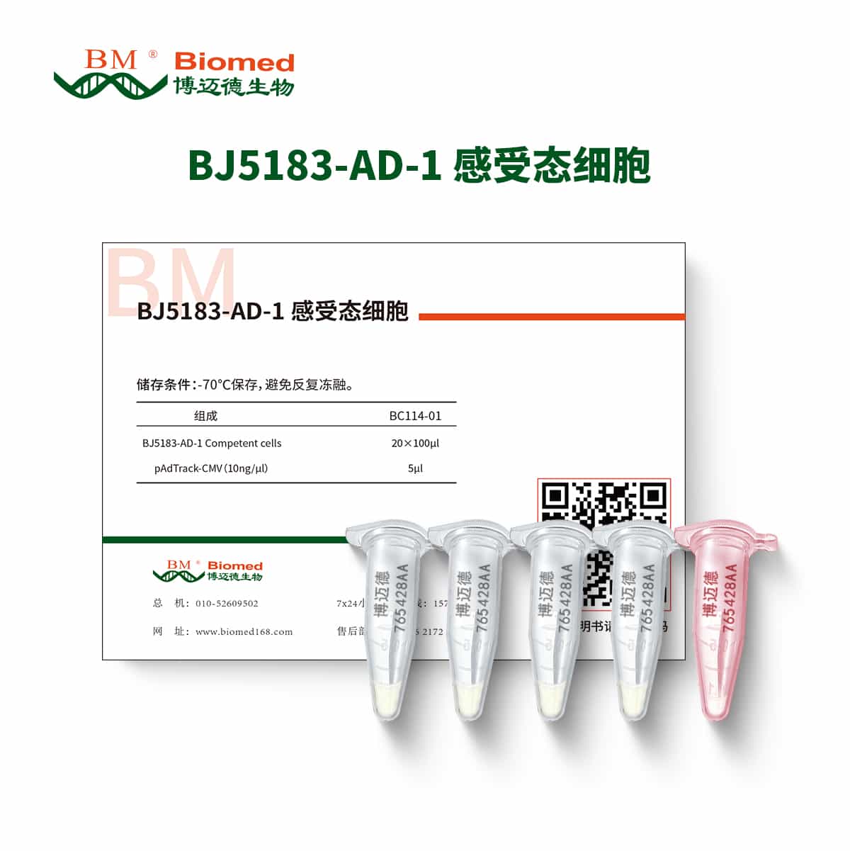 BJ5183-AD-1感受态细胞