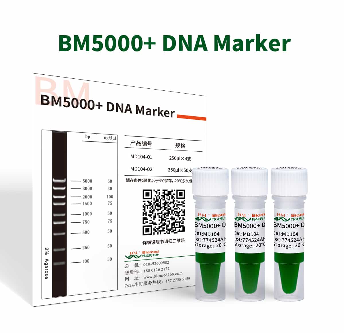 BM5000+ DNA Marker