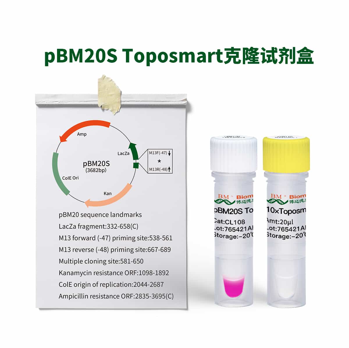 pBM20S Toposmart Cloning Kit克隆试剂盒